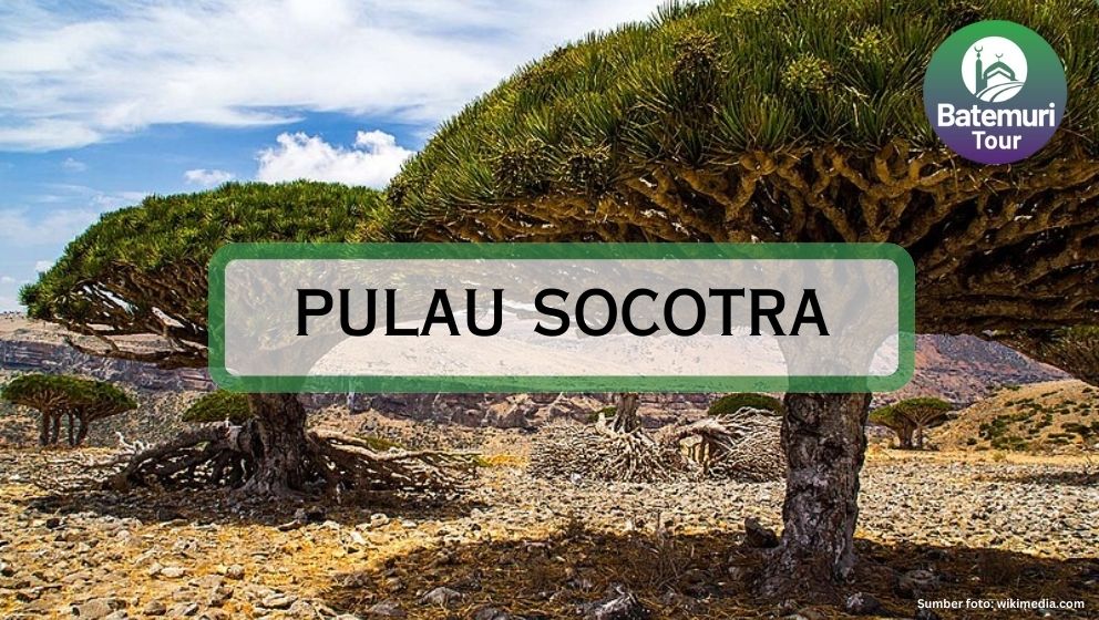 Dijuluki Pulau Dajjal, Ini Dia Pulau Socotra dan Keindahannya